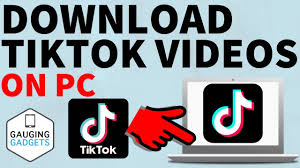 Fyptt APK